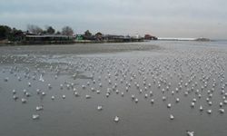 Silivri ve Avcılar'da deniz metrelerce çekildi