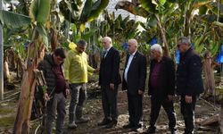 Doğal afetler tarım sektörünü etkilemektedir