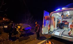 Kontrolden çıkan otomobil tarlaya uçtu