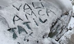 Kar tatili talebi sosyal medyayı salladı