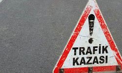 Cezaevi aracı devrildi