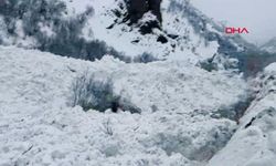 Yol kenarına çığ düştü