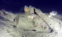 Marmara'da 50 yıllık sır: Parçalar görüntülendi