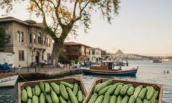 Boğaz’ın mirası: Çengelköy ve meşhur bademi