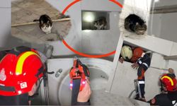 Mahsur kalan kedilere itfaiye eli!