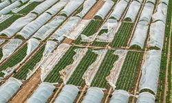 Antalya'da fırtına, hortum ve sel felaketinin faturası 3 milyar TL