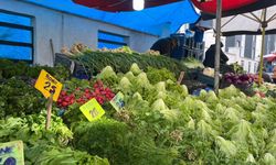 Dondurucu soğuklar ve sel etiketleri vurdu