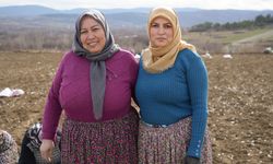 İstanbul'dan köyüne döndü, saatlik ücreti şaşırttı!