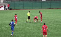 Top çarpan martı, kalp masajıyla hayata döndü