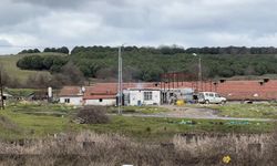 Çiftlikte 'Teksas Katliamı' filmini hatırlatan dehşet