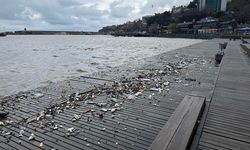 Dalgalarla sürüklenen plastik atıklar sahile vurdu