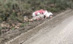 TIR’la getirilip köye bırakıldı, hipotermiden öldü