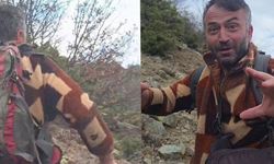 Nefes kesen anlar: Ayı ile burun buruna!