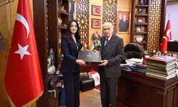 ‘Eserlerle Devlet Bahçeli' kitabı kamuoyuna sunuldu