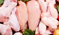 Kanatlı eti ihracatı durduruldu