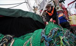 Egeli balıkçılar sezonun kalanından umutlu