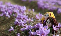 İlk cemre ne zaman düşecek?