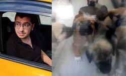 Köpekleri öldüren doktorun cezası 4 yıl 4 aya düştü