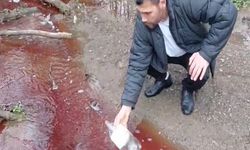 İstanbul'da baraja akan derede korkutan manzara!