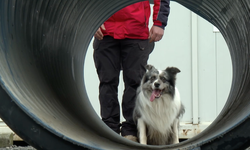 Evdeki can dostlar afet kahramanı olmaya hazırlanıyor!