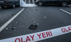 Trafik teröründe bekçi hayatını kaybetti