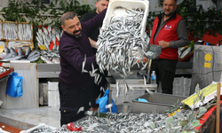 Hamsinin fiyatını görenler kilo kilo aldı!