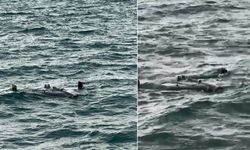 Çatalcalı balıkçılar buldu! Görür görmez telefona sarıldılar