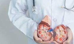 "Doğru beslenme ile böbrek taşı riskini azaltmak mümkün"