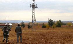Kaçak elektrikle tarla sulaması!