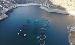 Denizi olmayan il de 2 bin ton alabalık üretildi