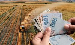 Tarım kuruluşlarına 5 milyon TL'lik destek başladı