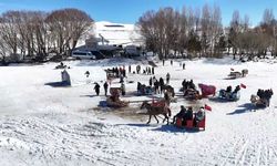 Atlı kızak safarileri nefes kesiyor