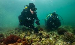 Tuzla Marmara Denizi'ne umut oldu