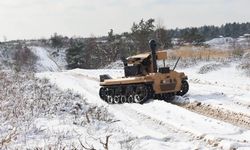 NATO’dan “Aslan” paylaşımı