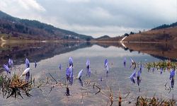 İkinci cemre suya düştü