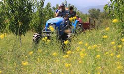 Traktörde "50 binler kulübü"ne 2 şehir daha katıldı