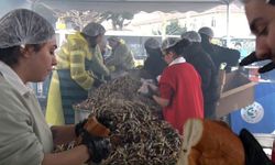 Beykozlular soğuğa aldırmadı, festivalde buluştu