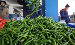 ‘Biber’ ihracatta rakip tanımıyor!