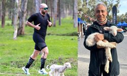 Parkura giren kuzu, renkli görüntüler yaşattı