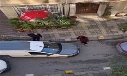 Kadıköy’de kadın sürücünün park yeri öfkesi