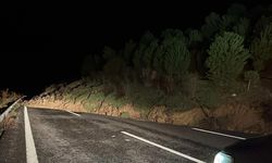 İstanbul-İzmir Otoyolu ulaşıma kapandı