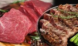 'Az pişmiş et çocukları böbrek yetmezliğine sürüklüyor'