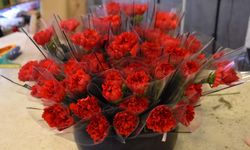 '8 Mart'ta kırmızı karanfil yoğun talep görüyor'