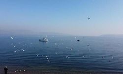 Sapanca Gölü'nde su seviyesi, 1 ayda 17 santimetre arttı