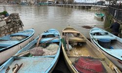 İstila etti çoğaldı, yayıldı; balıkçılara gelir kaynağı oldu