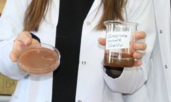 Çay atığından antibakteriyel ürün geliştirdiler