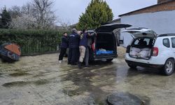 Silivri'de satışa hazır 306 at eti yakalandı