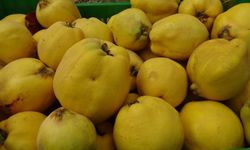 Ayva fiyatları rekor kırdı