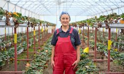 BAU Farm'da üretimin gücü 'kadınlar'