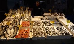 Balık tezgahlarında yeni dönem